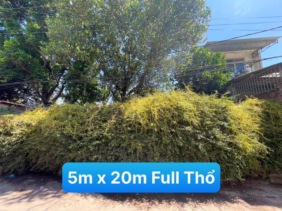 Đất ở Phường Diên Hồng, Thành phố Quy Nhơn 100m² giá 1 tỷ - Sẵn sàng đầu tư!