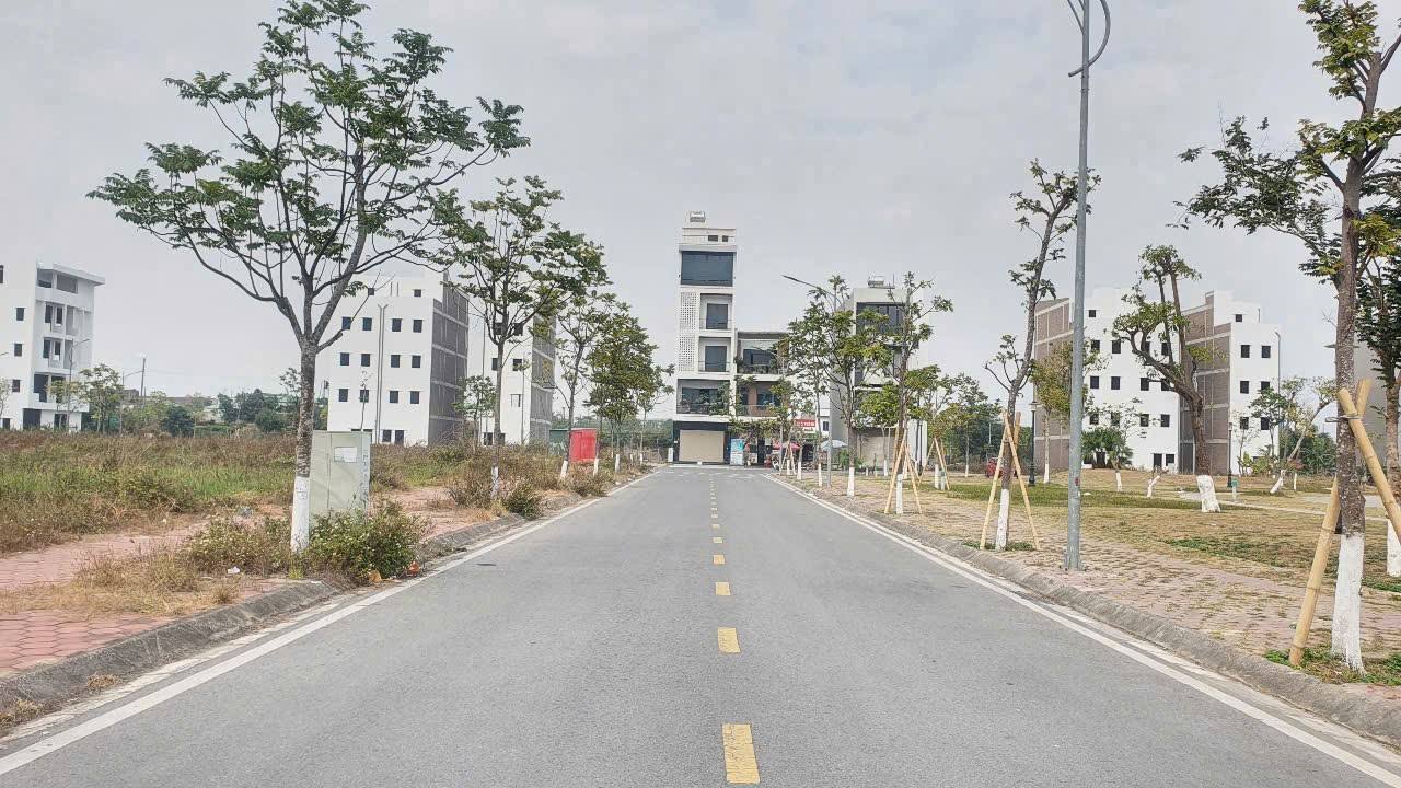 Bán Đất Biệt Thự Trần Hưng Đạo 202.5m² - Hướng Đông, View Công Viên Lớn