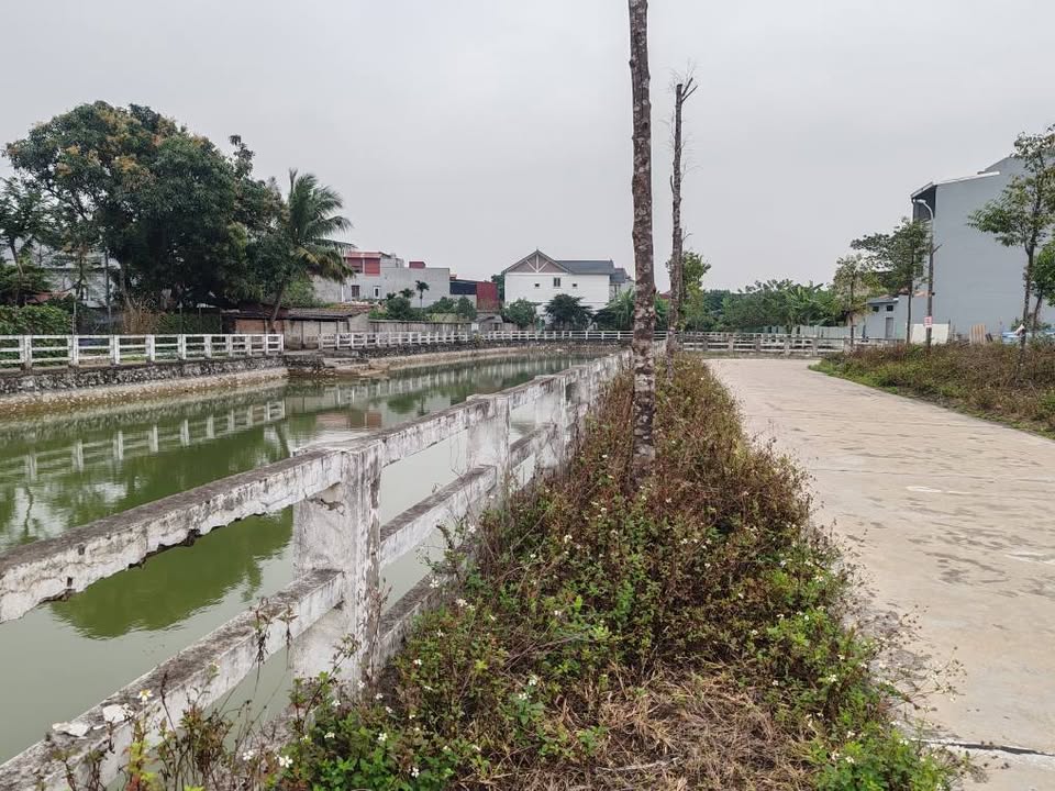 Lô đất đấu giá Trà Xuyên, Bắc Ninh 77m² giá 4 tỷ - Sổ đỏ chính chủ, vị trí đắc địa!