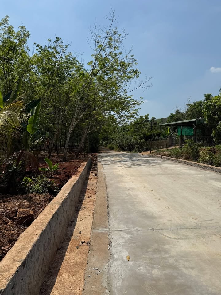 Đất nền Làng 10, Xã Lộc Thiện 300m² giá 500 triệu - Bán gấp trong dịp Tết!