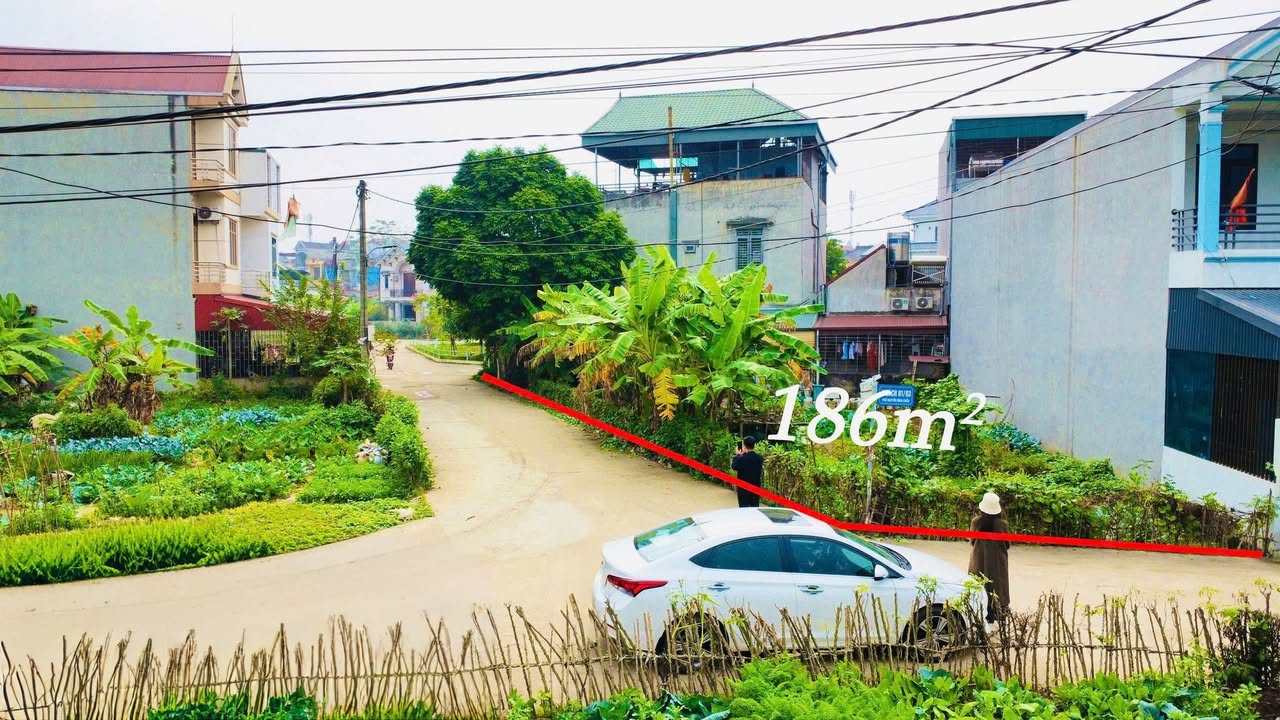 Đất nền Khu Giỏ Cang, Thị trấn Lâm Thao, 186m² chỉ 1 tỷ - Tiềm năng sinh lời cao!