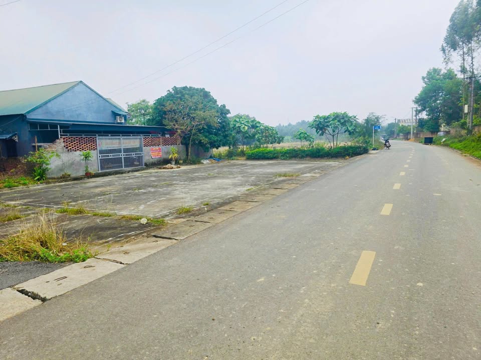 Đất nền Hùng Sơn, Lâm Thao, Phú Thọ 117.3m² - Mặt tiền rộng, đường thông thoáng!