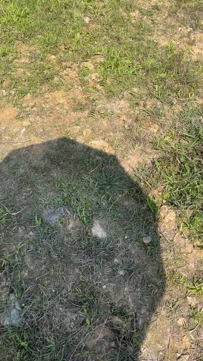 Đất thổ cư Quang Diệm 220m² giá chỉ 700 triệu - Đầu tư sinh lời ngay!