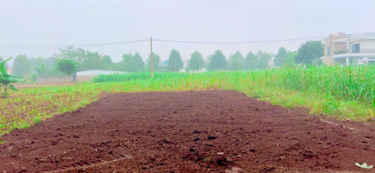 Đất nền đấu giá Nghĩa Hưng, Tây Hiếu 180m² - Đầu tư sinh lời tiềm năng!