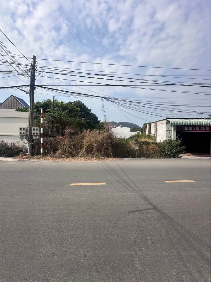 Mặt tiền kinh doanh Phước Hội 357m² giá 8.925 tỷ - Đầu tư sinh lời ngay!