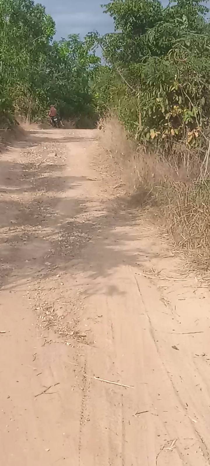 Đất nông nghiệp tại xã Hồng Sơn, Hàm Thuận Bắc, 60,000m² - Giá đầu tư hấp dẫn!