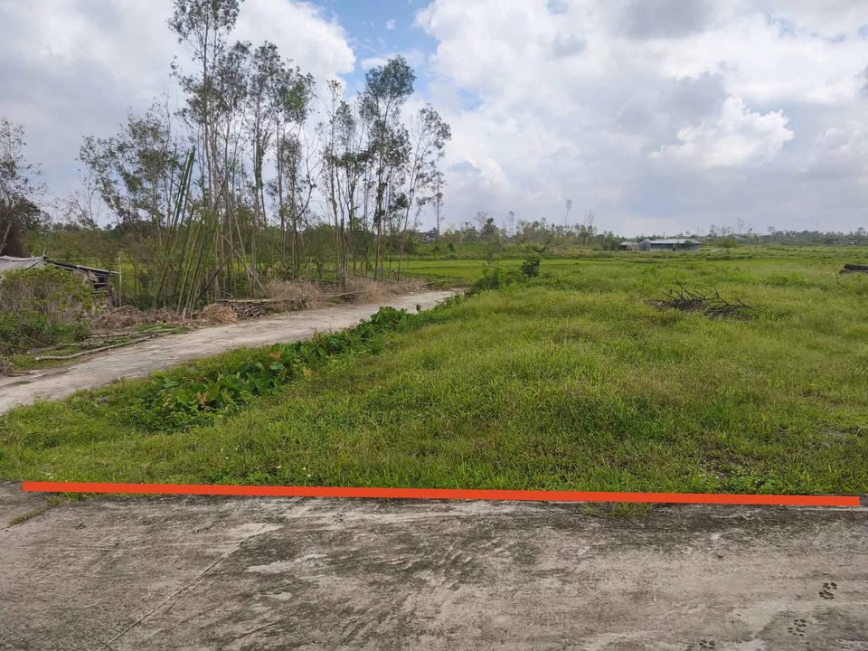 Đất nền Ngọc Sơn, Thạch Hà 241,2m² giá chỉ 300 triệu - Đầu tư sinh lời ngay!