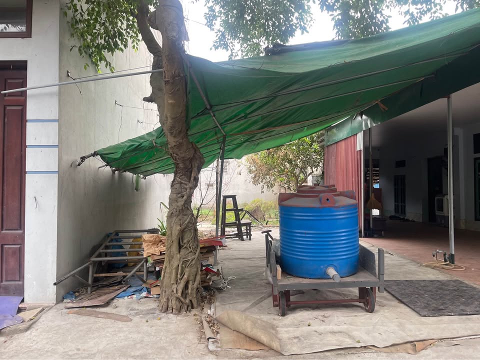 Đất thổ cư Xuân Ổ A - P. Võ Cường 71.3m² giá 3 tỷ - Cơ hội đầu tư hiếm có!