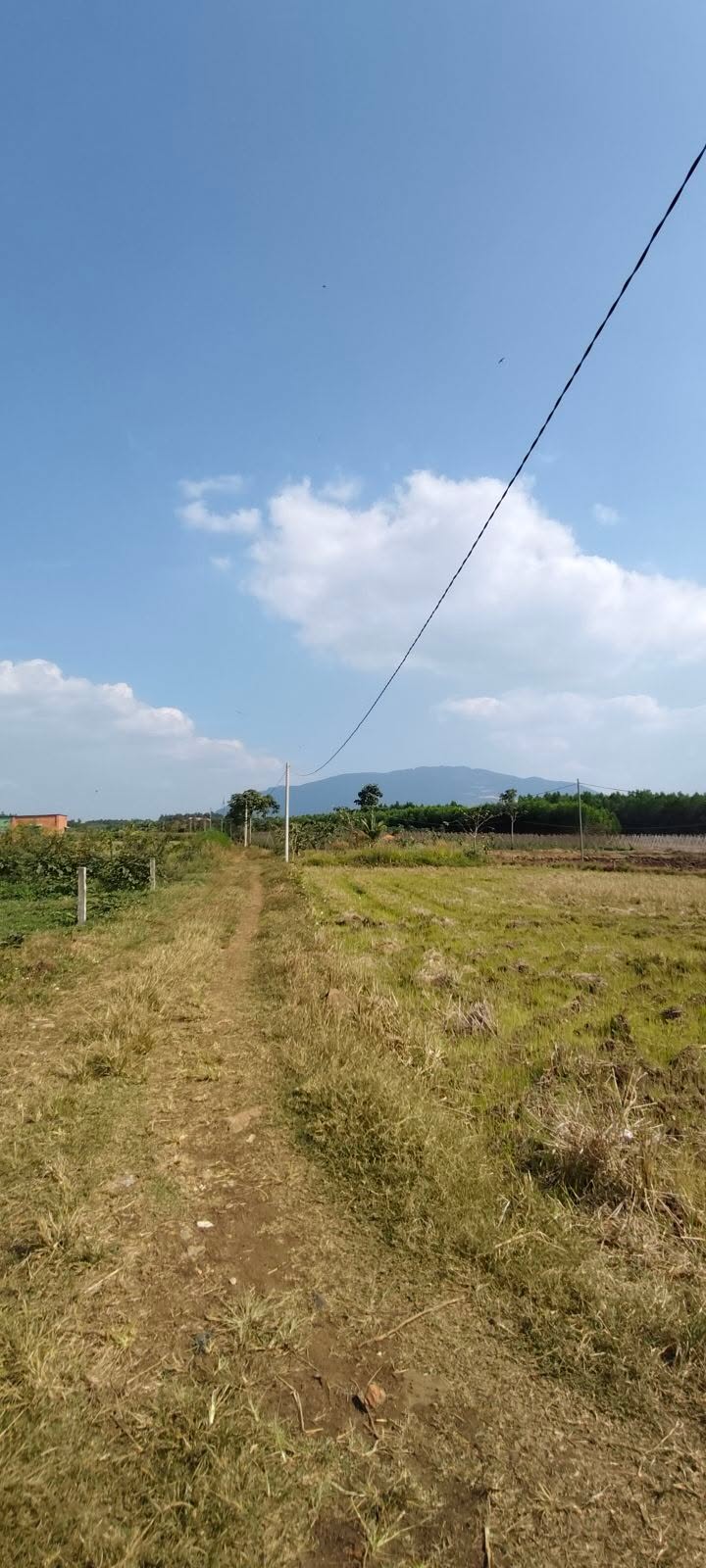 Đất lúa nước 2800m² tại Ấp Xuân Thọ, Huyện Xuân Lộc - Cơ hội đầu tư tuyệt vời!