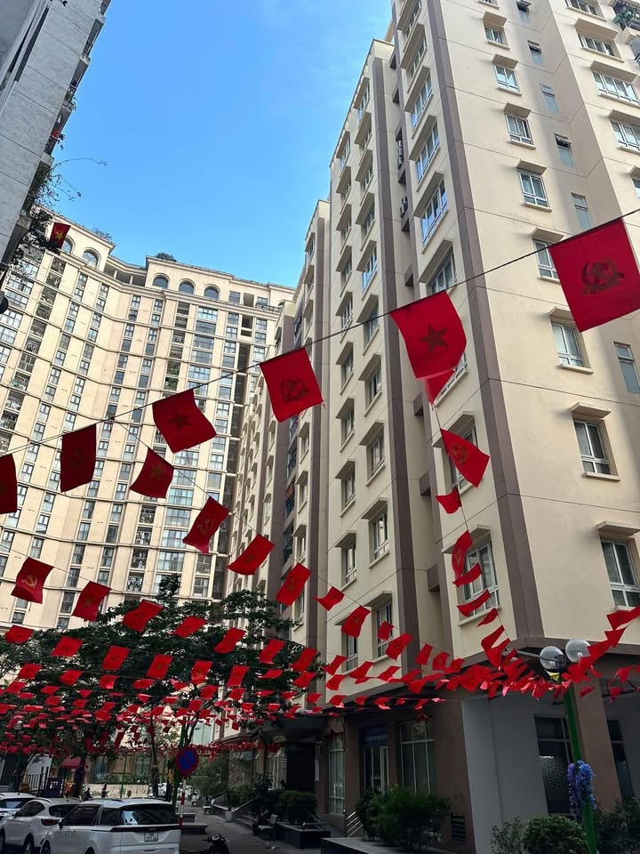 Cho thuê căn hộ 1PN CT2B Hoàng Cầu, 50m² - Sẵn sàng đón chủ mới