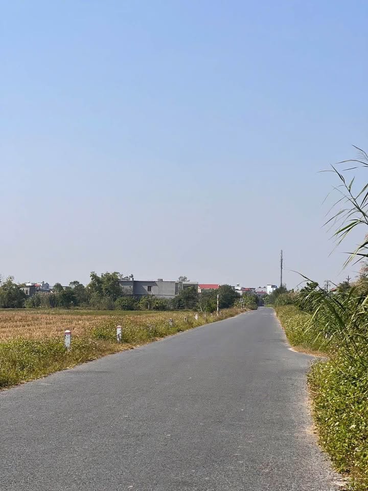 Đất mặt đường Trần Lãm, Hưng Yên 100m² giá chỉ 1 tỷ - Cơ hội đầu tư hiếm có!