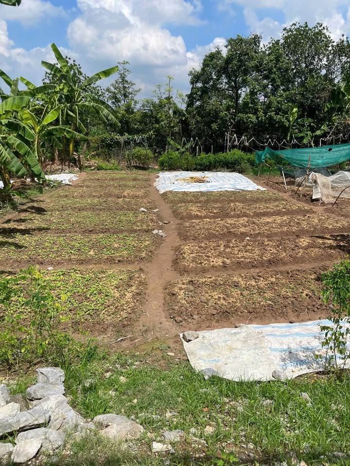 Đất nền Vũ Bản, Bình Lục 100m² - Mặt tiền rộng rãi, hiếm có!