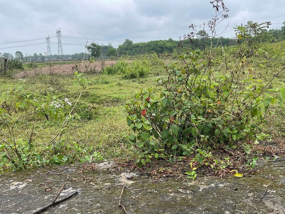 Lô đất Cam Vủ 1 - 150m² giá 195 triệu - Sổ đỏ chính chủ!