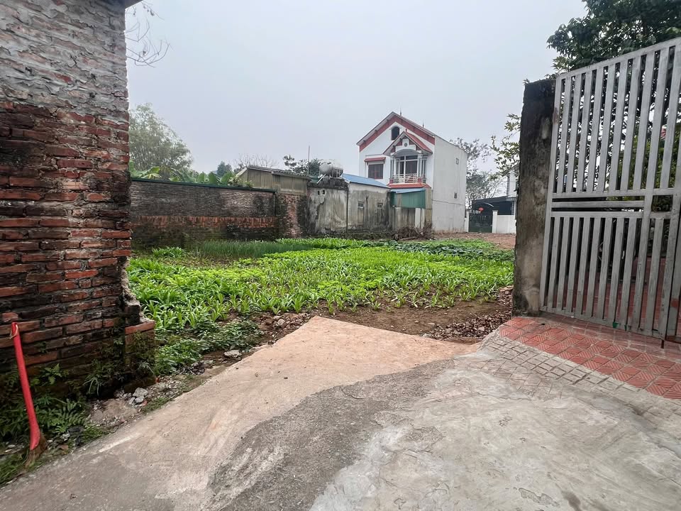 Đất nền đẹp tại Lương Xá, Lam Điền 192,5m² giá 1,925 tỷ - Đường rộng thuận tiện!