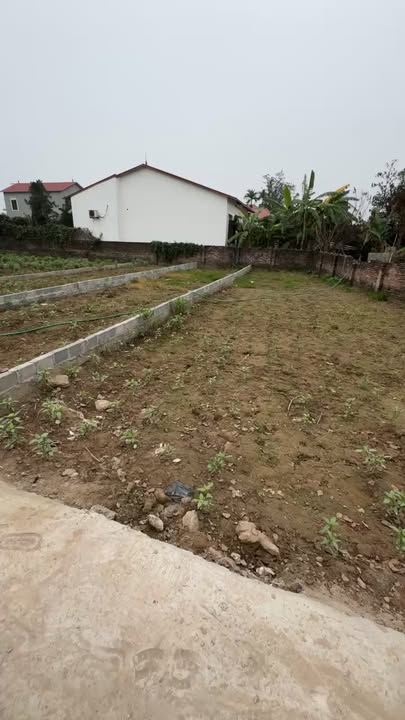 Đất nền Quán Trạch, Văn Giang 140m² giá chỉ 2 tỷ - Cơ hội đầu tư tuyệt vời!