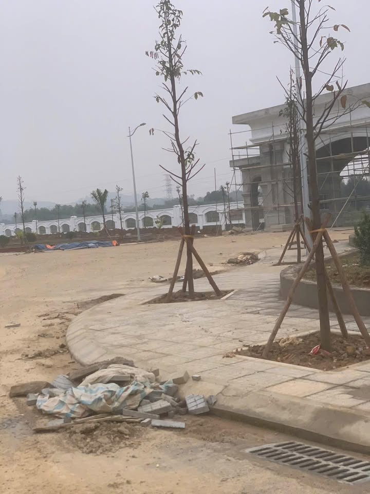 Đất nền An Nhân Vĩnh Tường 140m² giá thỏa thuận - Kinh doanh tốt ngay gần Viện A