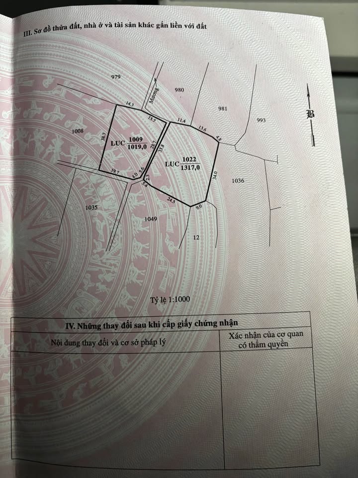 Đất nền 2300m² tại Thành Hải, Phan Rang - Giá chỉ 450 triệu - Đầu tư sinh lời!