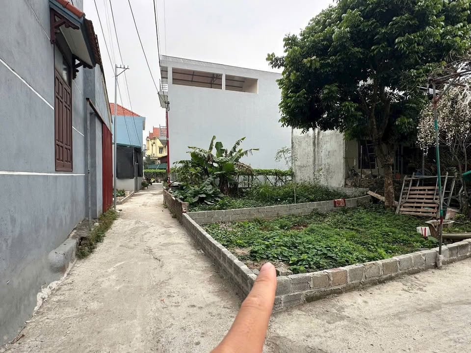 Đất nền Tự Nhiên Thường Tín 41.2m² giá 2.05 tỷ - Lô góc siêu đẹp, ô tô đỗ cửa!