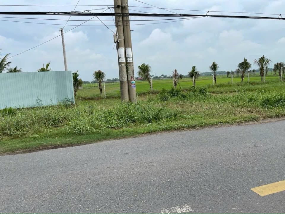 Đất mặt tiền Tỉnh Lộ 7, Xã Phước Thạnh, Củ Chi 20.000m² giá chỉ 2 triệu/m² - Cơ hội đầu tư vàng!