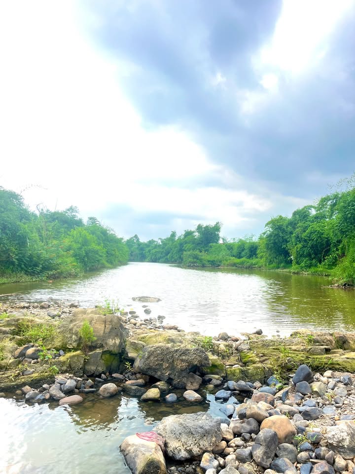 Vườn bám suối Lục Nam 3500m² giá 2 tỷ - Vùng đất nghỉ dưỡng lý tưởng!