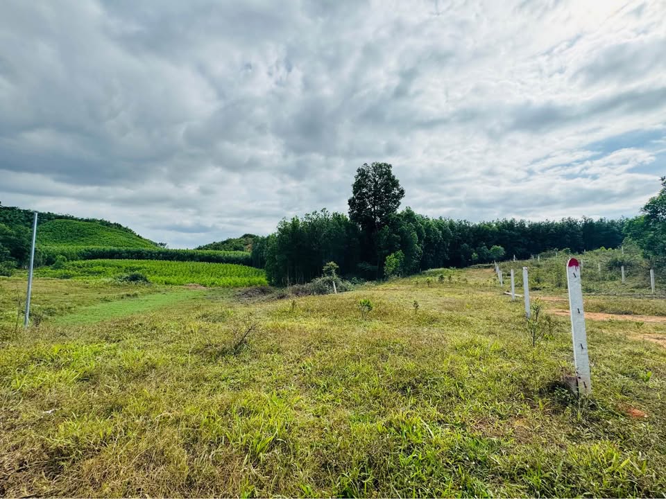 Đất nền Khánh Đông, Khánh Vĩnh 778m² giá 599 triệu - Cơ hội đầu tư tuyệt vời!