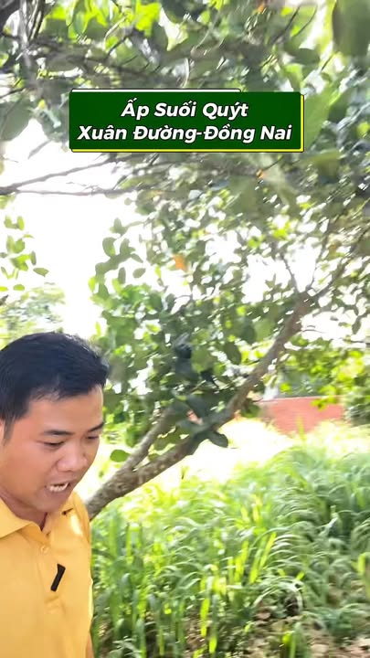 Đất Nền 400m² Xuân Lộc, Đồng Nai - Sổ Đỏ Thổ Cư, Gần Chợ Suối Quýt