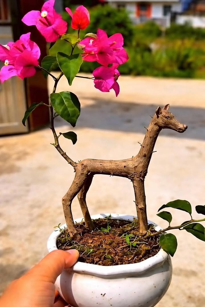 Đất nền 6300m² Sông Ray, Cẩm Mỹ - Phù hợp làm khu nghỉ dưỡng!