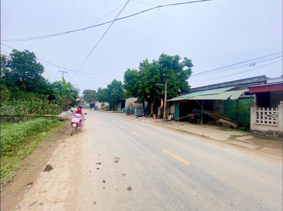 Đất thổ cư mặt QL 70B, xã Xuân Viên, 120m² - Đầu tư sinh lời ngay!