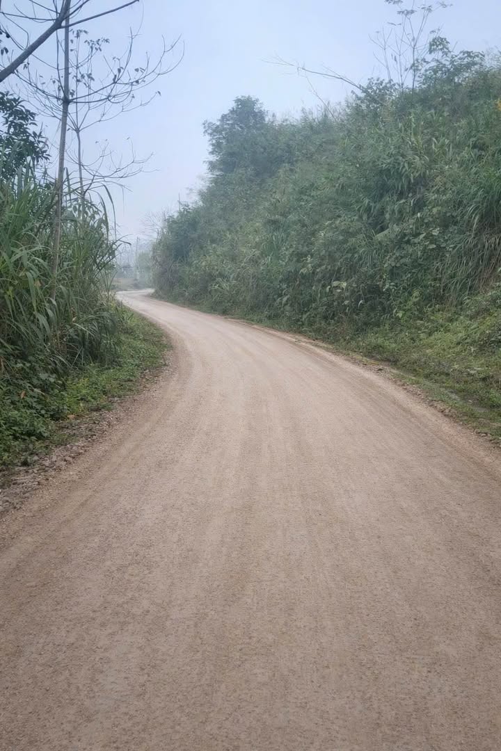 Đất nền Phú Thọ, Bình Xuyên 4000m² chỉ từ 100 triệu - Đầu tư sinh lời cao!