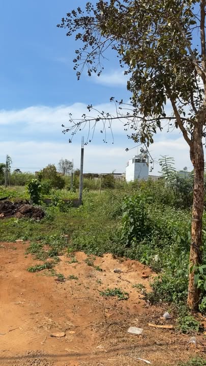 Đất thổ cư Hẻm Trần Hưng Đạo, Buôn Hồ 544m² giá 6.105 tỷ - Sổ hồng chính chủ!