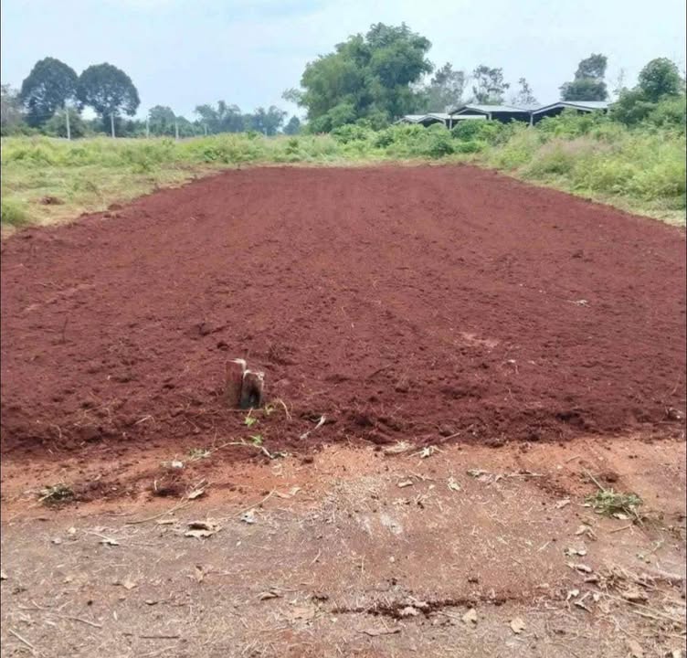 Đất nền 200m² Xã Long Tân - Giá chỉ 620 triệu - Đầu tư sinh lời ngay!