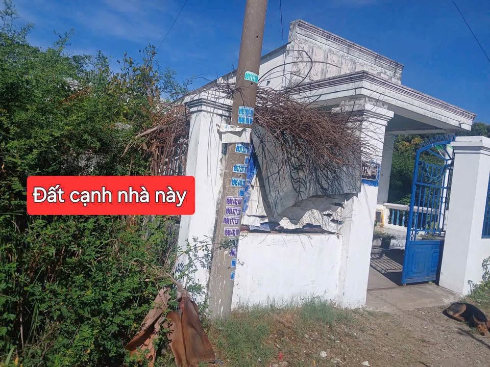 Đất thổ cư Phường 12, TP. Vũng Tàu 200m² giá chỉ 1.8 tỷ - Sổ riêng chính chủ!