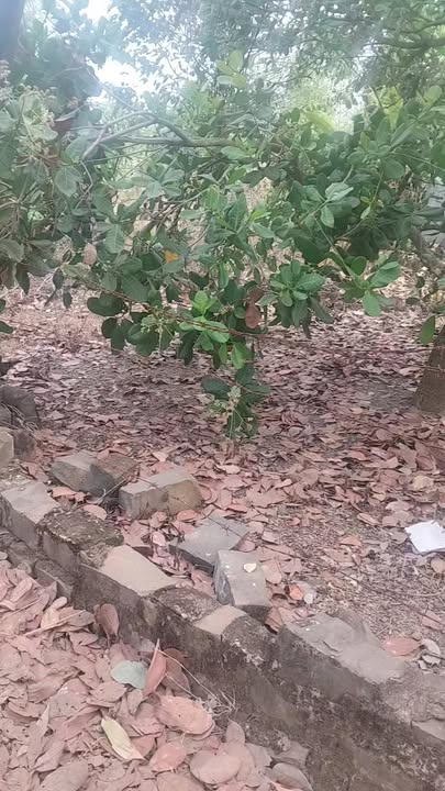 Đất nền Quốc lộ 14, Phường Tân Đồng, 424m² giá 1.5 tỷ - Sổ hồng chính chủ!