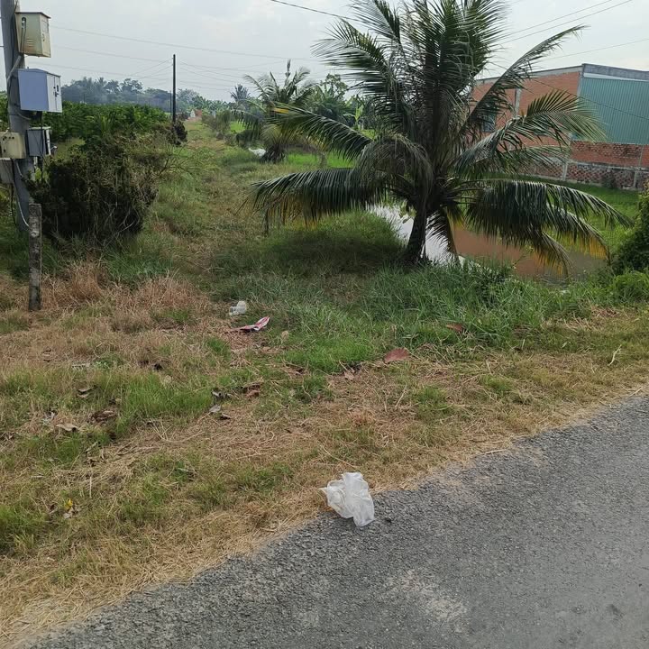 Đất nền mặt tiền nhựa Cai Tài, xã Lạc Tấn, 8000m², giá chỉ 7.2 tỷ - Cơ hội đầu tư tuyệt vời!