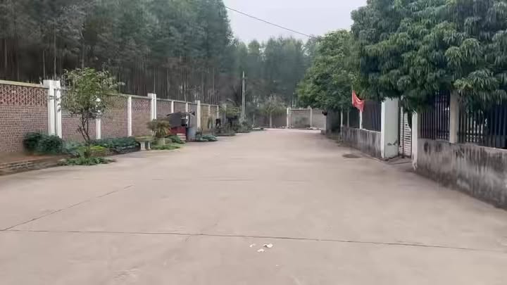 Nhà 2 tầng Thôn Cầu Bài, xã Tân Hưng, 190m² giá 3 tỷ - Cơ hội đầu tư tốt!