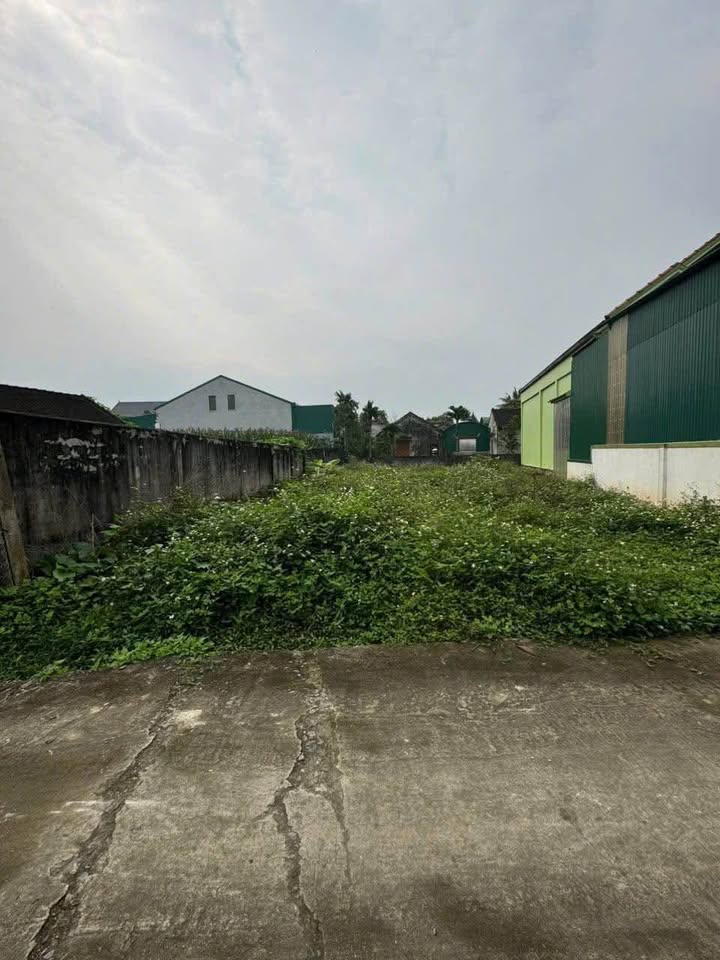 Đất nền Xóm 1 Đà Sơn 218m² giá 1.3 tỷ - Đầu tư sinh lời ngay!