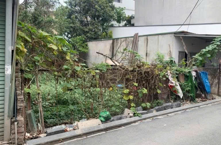 Đất Đại Mạch Đông Anh 52m² giá 4 tỷ - Ô tô vào tận đất, Sổ đỏ chính chủ!