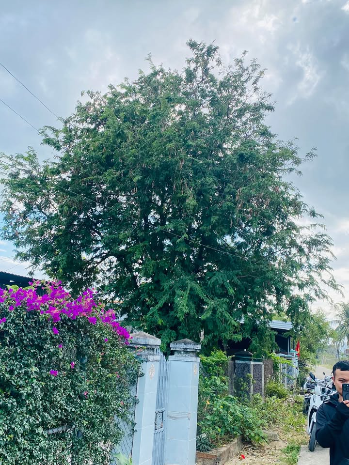 Đất nền Tân Phú 800m² giá 1 tỷ - Đường rộng, vị trí đắc địa!