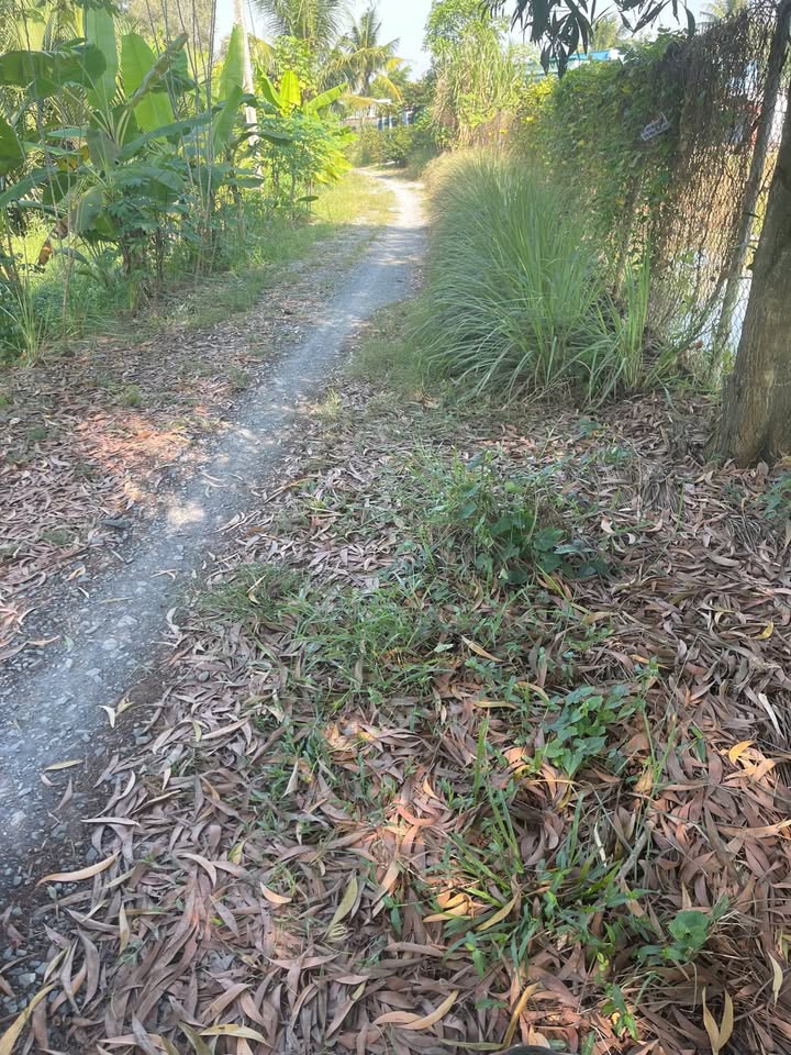 Đất nền Tân Bửu, Bến Lức 100m² giá 950 triệu - Cơ hội đầu tư tuyệt vời!