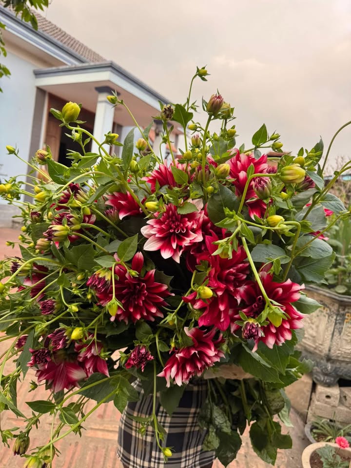 Đất nền Phúc Trì, Tân Thành, 90m² giá chỉ 4xx triệu - Cơ hội đầu tư tuyệt vời!