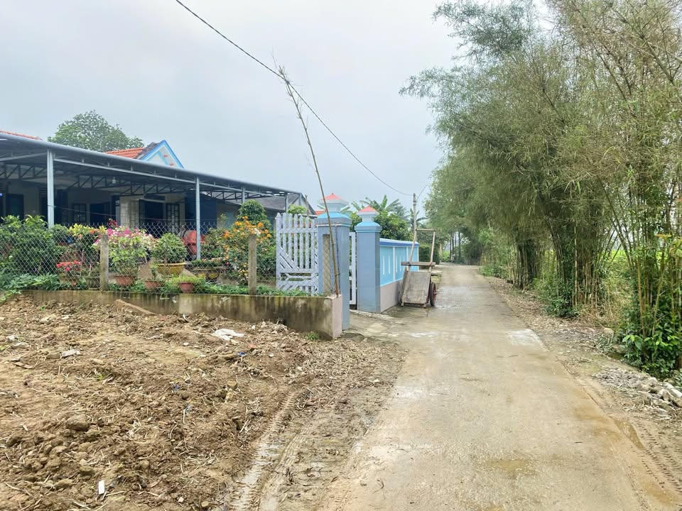 Đất nền 113m² Hương Sơ - Gần sông Hương - Giá chỉ 790 triệu!