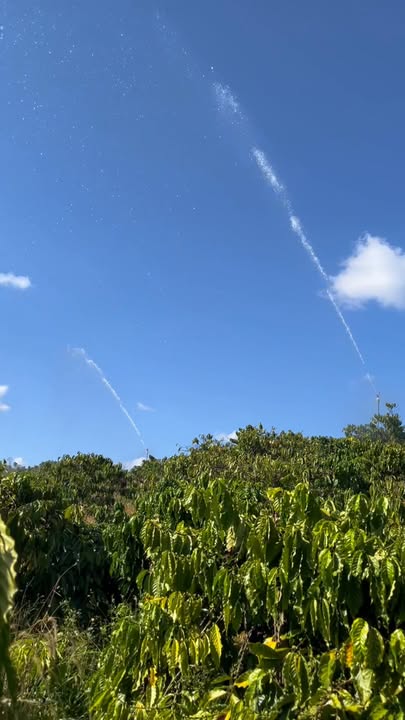 Farm đẹp tại phường Quảng Thành, Gia Nghĩa 15.000m² giá 1.5 tỷ - Đầu tư lý tưởng!