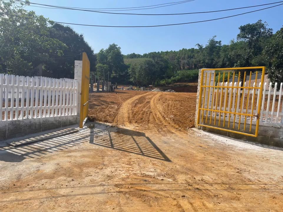 Đất nền thôn Quýt Yên Bài 1435m² giá chỉ 4 triệu/m² - Cơ hội đầu tư hấp dẫn!