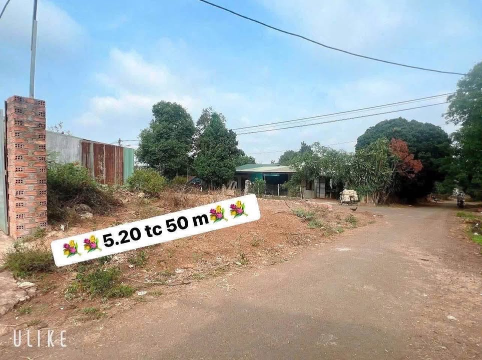 Đất nền Phường Thắng Lợi, Pleiku 100m² giá 730 triệu - Cơ hội đầu tư không thể bỏ qua!