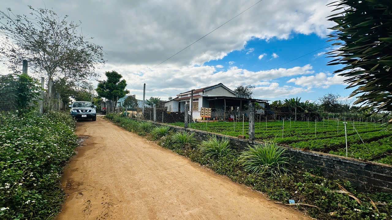 Đất thổ cư Lý Thường Kiệt, An Phú 245m² giá 1 tỷ - Đầu tư sinh lời ngay!