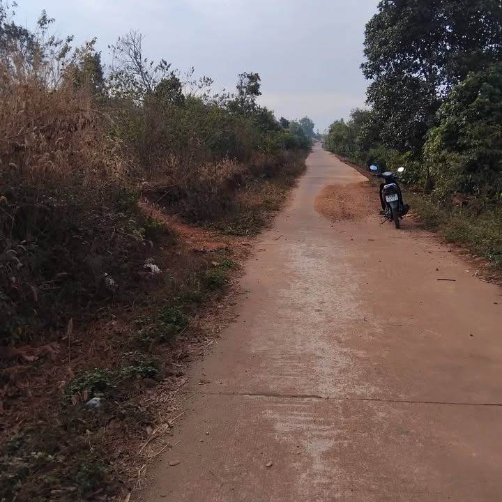 Đất liền kề tại xã Ia Dêr, 175m² giá tốt - Cần bán gấp trước Tết!