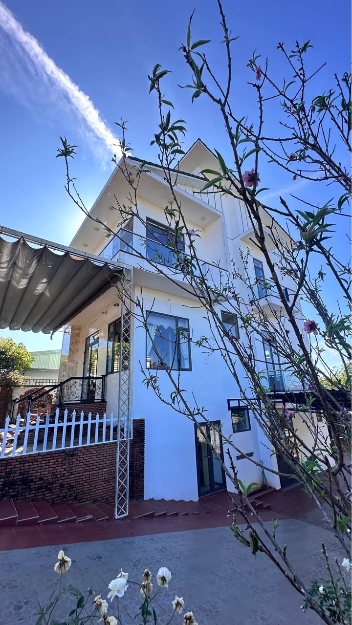 Biệt Thự 1000m² Pleiku - Đẹp Hiện Đại, Kinh Doanh Đa Ngành Nghề