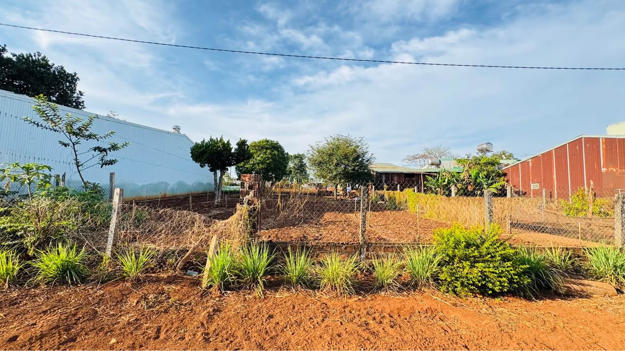 Đất nền Phường Hội Phú 150m² giá 1.1 tỷ - Sổ đỏ chính chủ!