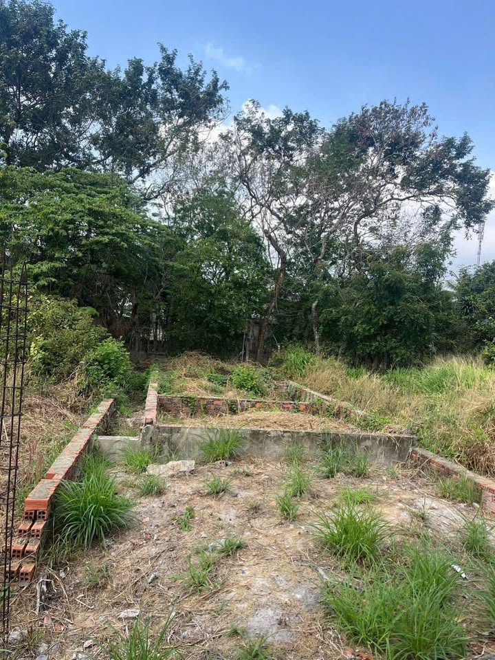 Đất nền Phường 3 Tây Ninh 100m² giá 1.08 tỷ - Cơ hội đầu tư sinh lời!