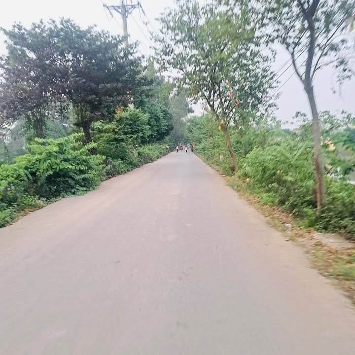 Đất thổ cư 296m² tại Thị xã Thuận An giá chỉ 12 tỷ - Sổ đỏ chính chủ